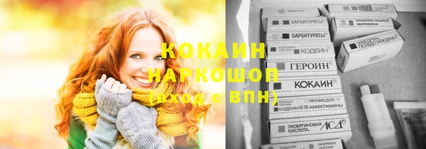 тгк Новозыбков
