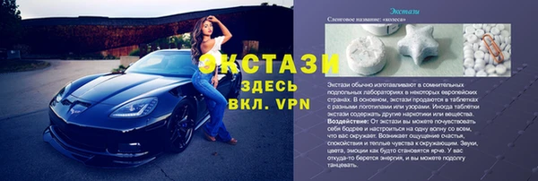 тгк Новозыбков