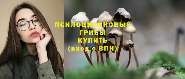 apvp Новокубанск