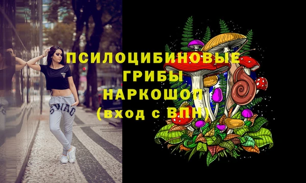 apvp Новокубанск