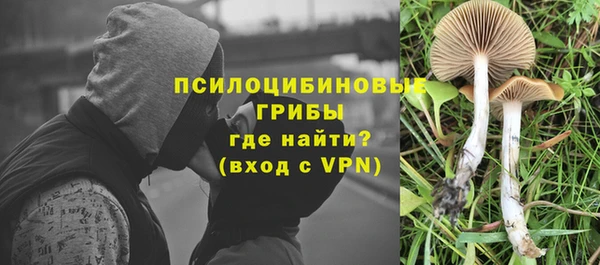 apvp Новокубанск