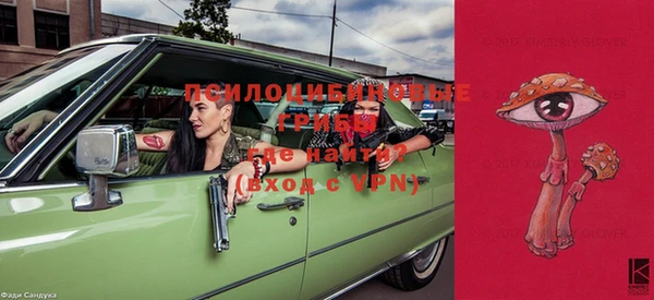 тгк Новозыбков