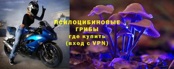 меф Новодвинск