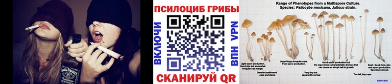 Купить закладки  Ржев  Галлюциногенные грибы Psilocybine cubensis 